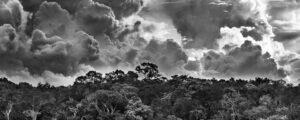 <p>Sebastião Salgado’s Amazônia exhibition at the Science Museum in London depicts the biome in dramatic monochrome. This photograph shows the Mariuá archipelago above the Rio Negro, Amazonas state, 2019. (Image ©️ Sebastião Salgado/nbpictures)</p>
